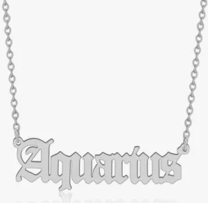 Aquarius Silver Zodiac Necklace // Jovee