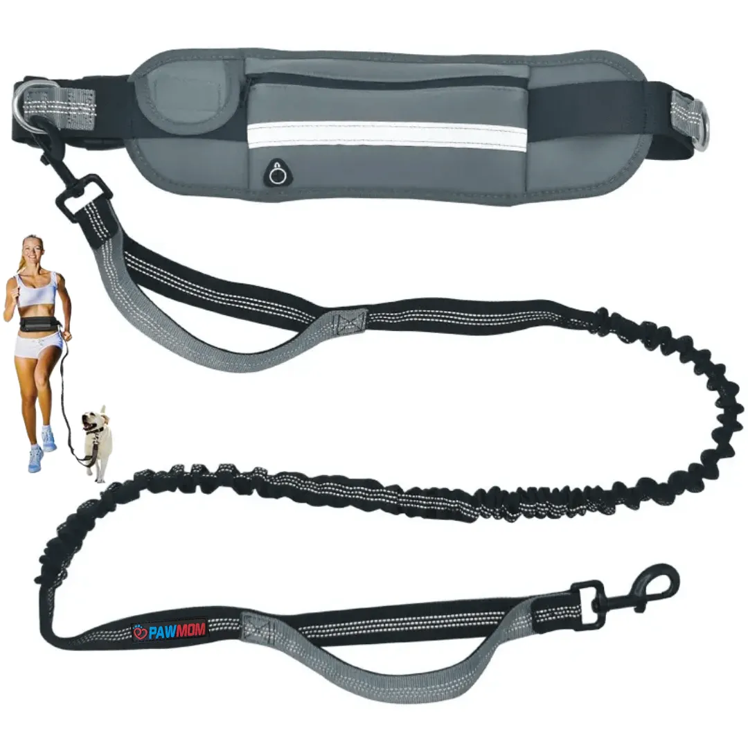 Hands Free Dog Running Waist Leash for Running