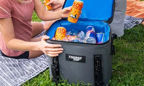 Paddle Board Soft Cooler Bag