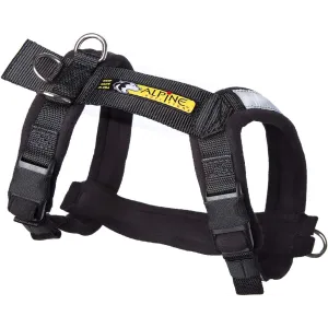 Urban Trail Biking Harness
